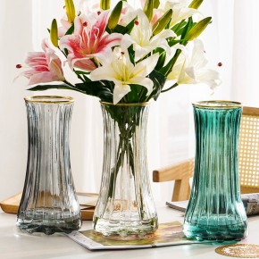 玻璃花瓶透明水养富贵竹家用干花鲜花插花_花瓶